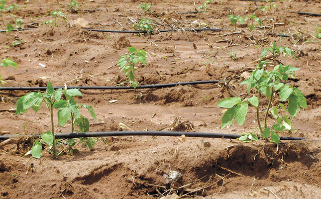 How to use water wisely How to use water wisely