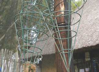 Make your own insect-repellent hanging garden in your stable