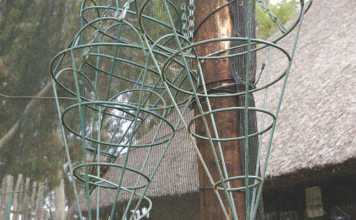 Make your own insect-repellent hanging garden in your stable