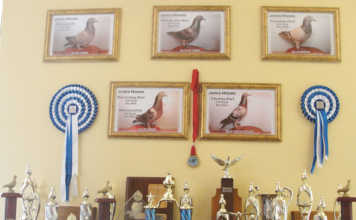 James Moore says goodbye to a lifetime of racing