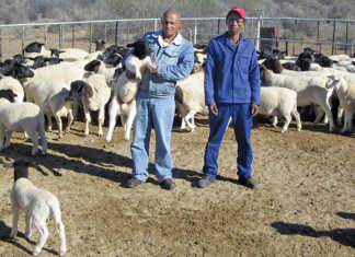 Northern Cape's mentorship success!