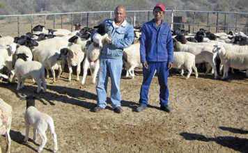 Northern Cape's mentorship success!