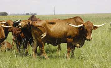 Spotlight-on-food-safety