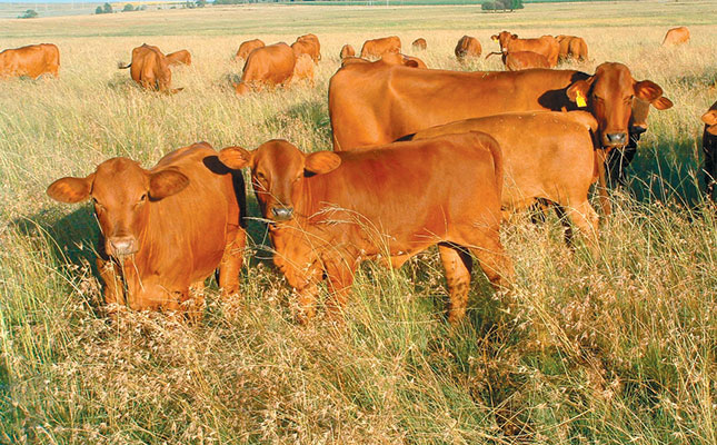 Can a ley crop be profitable? Can a ley crop be profitable?