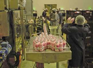 Farming Ayrshire and Holstein dairy herds in KZN