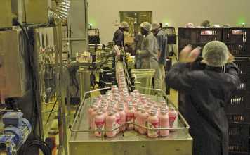 Farming Ayrshire and Holstein dairy herds in KZN