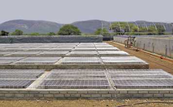 Crocodile farming – a controversial issue