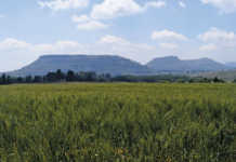 ‘Stop inciting negativity’ – Dr Croucamp ‘Stop inciting negativity’ – Dr Croucamp