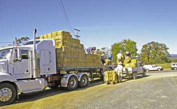 DIY straw bale house