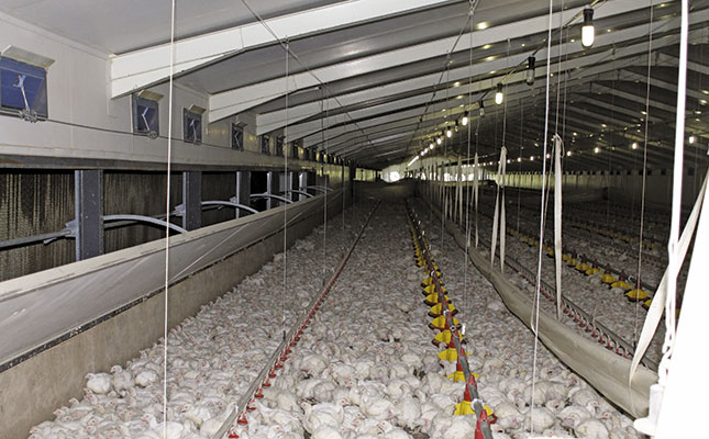 The key to running a top broiler business The key to running a top broiler business