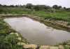 Making-fish-farming-work