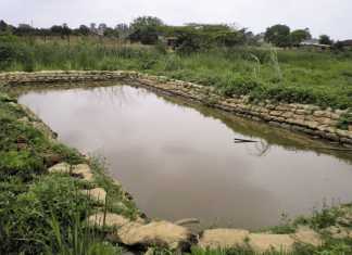 Making-fish-farming-work