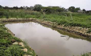 Making-fish-farming-work
