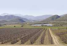 Challenges facing SA fruit farmers