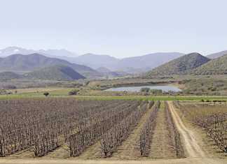Challenges facing SA fruit farmers