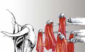 South Africa’s beef industry: what does the future hold?