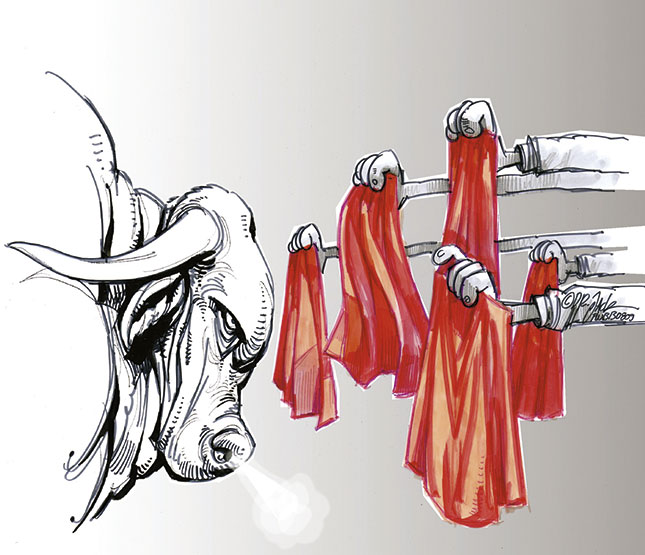 South Africa’s beef industry: what does the future hold? South Africa’s beef industry: what does the future hold?