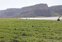 Partnering to turn around SA’s land reform failures