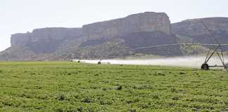 Partnering to turn around SA’s land reform failures
