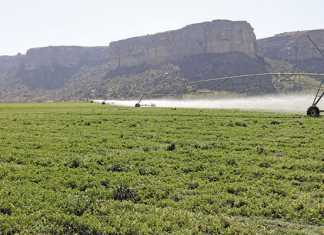 Partnering to turn around SA’s land reform failures