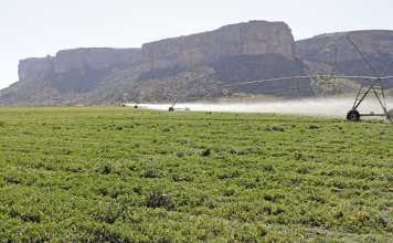 Partnering to turn around SA’s land reform failures