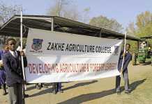 Zakhe Agricultural College: cultivating farmers