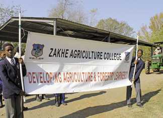 Zakhe Agricultural College: cultivating farmers