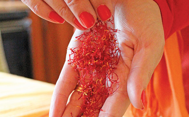 A guide to farming saffron in South Africa A guide to farming saffron in South Africa