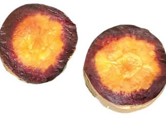 Purple carrots
