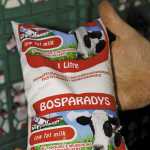 Bosparadys - A family success story