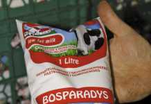 Bosparadys - A family success story