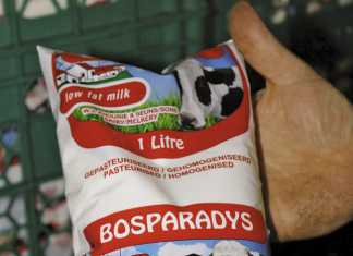 Bosparadys - A family success story