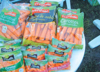 Marketing and presentation of your carrot crop