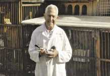 Keeping your pigeons healthy