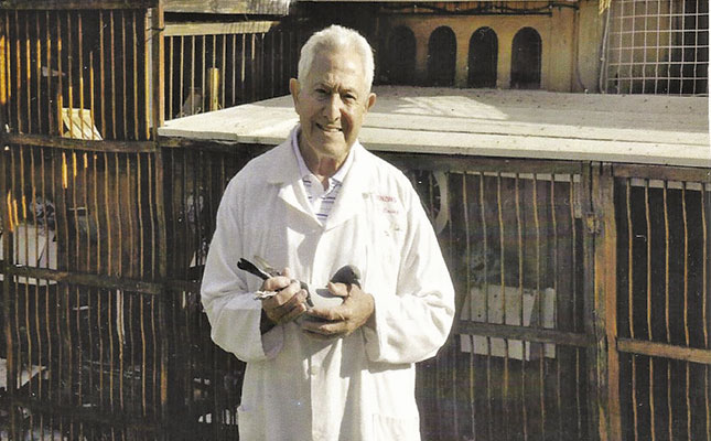 High-class racing pigeons High-class racing pigeons