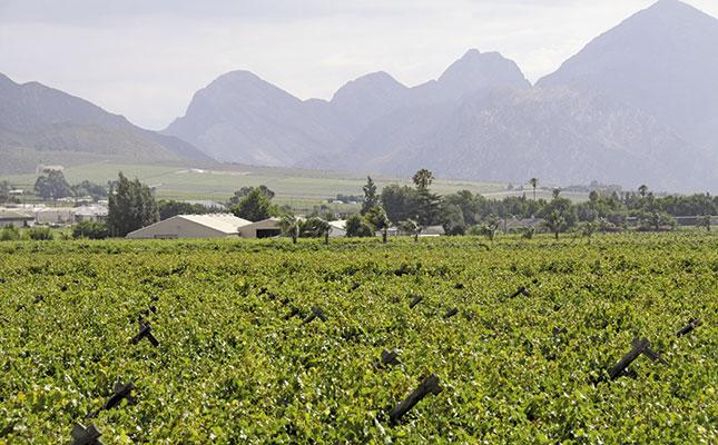 Dutch fruit importers require transparency Dutch fruit importers require transparency