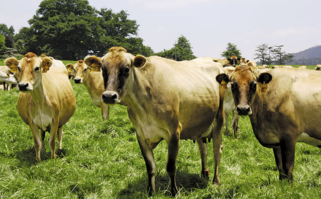 The best dairy breed: A comparative study The best dairy breed: A comparative study