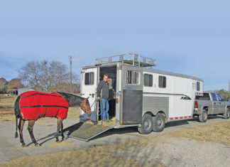 Transporting your horse