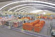 Packaging for fresh produce – get it right