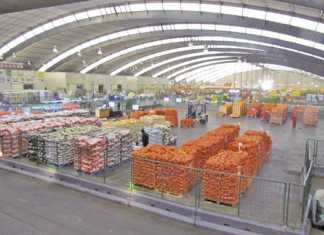 Packaging for fresh produce – get it right