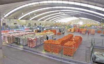 Packaging for fresh produce – get it right