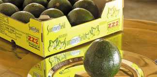 From Aristotle to avocados – ZZ2’s business model