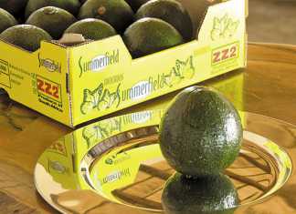 From Aristotle to avocados – ZZ2’s business model