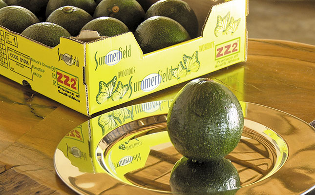 From Aristotle to avocados – ZZ2’s business model From Aristotle to avocados – ZZ2’s business model