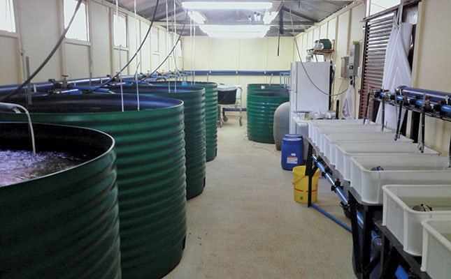 Infrastructure for aquaculture Infrastructure for aquaculture