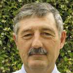 Weak rand, superb clip boost SA wool industry