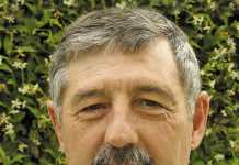 Weak rand, superb clip boost SA wool industry