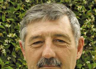 Weak rand, superb clip boost SA wool industry