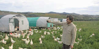 Farmer Angus McIntosh