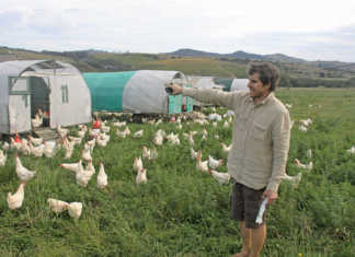 Farmer Angus McIntosh